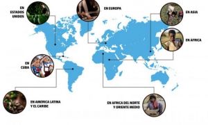 Info Trabajo infantil mini