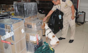 Dentro del aeropuerto cubano: cuestiones legales