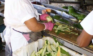 La Conchita: historia, presente y futuro