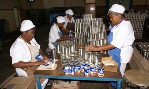 La Conchita: historia, presente y futuro