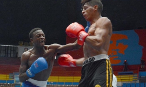 Box campeonato por equipo