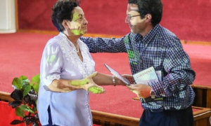 Premier serie Columna 1