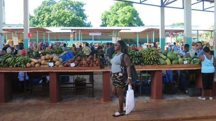 I Aniversario del Mercado Agropecuario Estatal Plaza Cerro.
