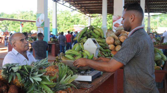 I Aniversario del Mercado Agropecuario Estatal Plaza Cerro.