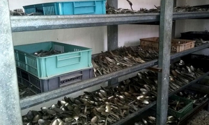 Arte con cuchara, cuchillo y tenedor