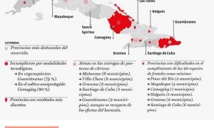 INFOGRAFÍA AGRICULTURA URBANA