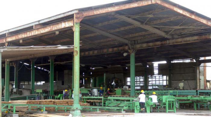 El aserrío Combate de las Tenerías es el mayor del país. foto del autor