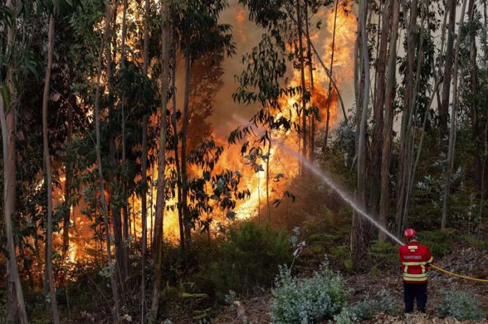El país europeo sufre desde hace varios meses incendios forestales. foto: efe