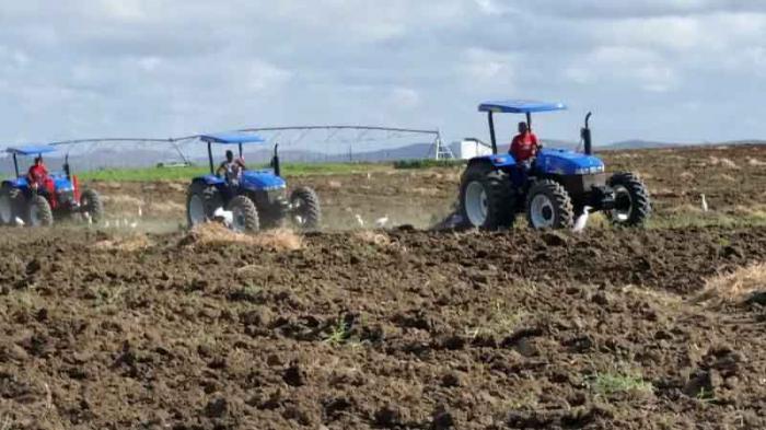 La campaña de frío será favorecida por la nueva tecnología entregada a las diferentes formas productivas. FOTO del autor