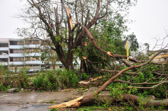efectos de irma en yaguajay