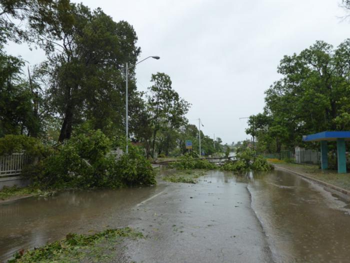 estragos de irma en camaguey