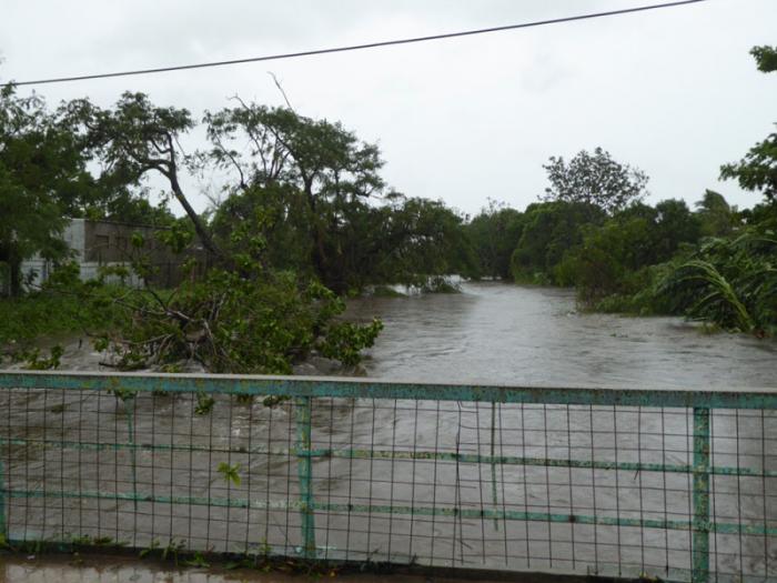 estragos de irma en camaguey