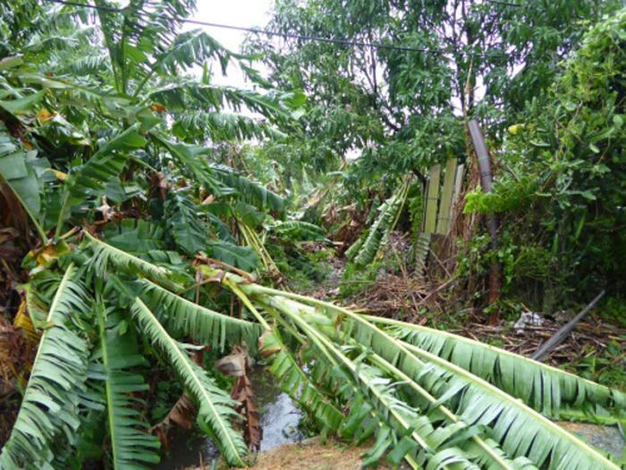 Imágenes de Villa Clara tras el paso de Irma 