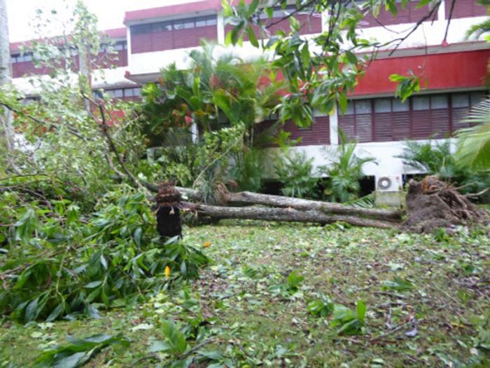 Imágenes de Villa Clara tras el paso de Irma 