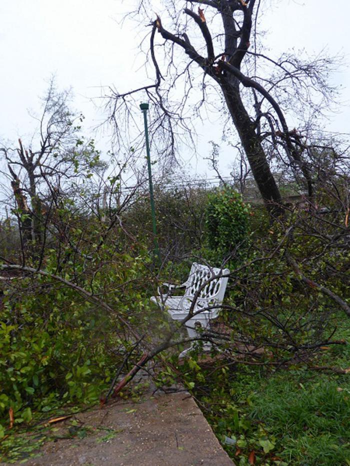 Primeras  imágenes del poblado de Bolivia, Ciego de Ávila, primero que sacudió Irma a su paso por la provincia. 