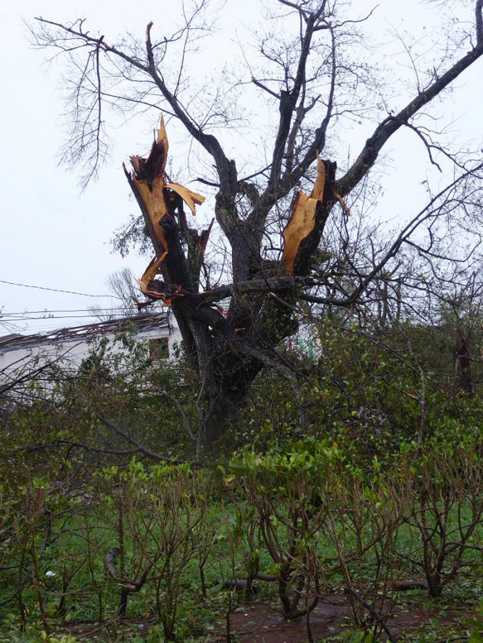 Primeras  imágenes del poblado de Bolivia, Ciego de Ávila, primero que sacudió Irma a su paso por la provincia. 