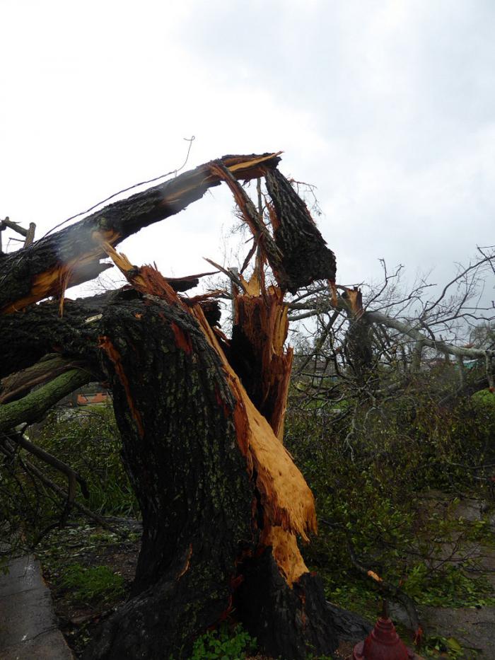Primeras  imágenes del poblado de Bolivia, Ciego de Ávila, primero que sacudió Irma a su paso por la provincia. 
