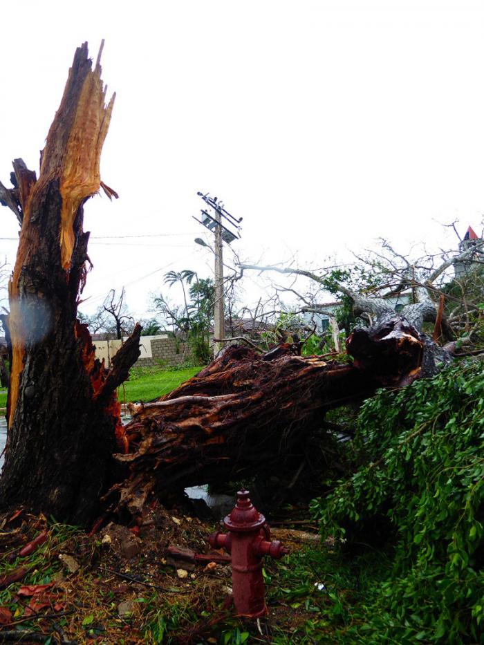 Primeras  imágenes del poblado de Bolivia, Ciego de Ávila, primero que sacudió Irma a su paso por la provincia. 