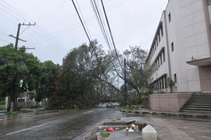 Huracán Irma en la capital. El domingo en la mañana mucha población en la calle y muchos turistas fotografiando las secuelas. Árbol caido en Ayestarán y 20 de mayo.