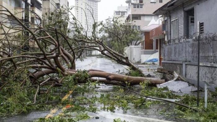 estragos de maria en puerto rico