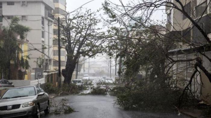 estragos de maria en puerto rico