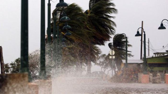 estragos de maria en puerto rico