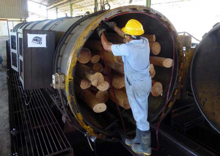 Hasta el momento han sido enviados a los territorios afectados 1 600 postes.