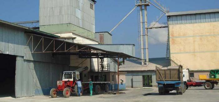 La fábrica pinareña incorporó un segundo turno de trabajo para producir 20 horas diarias. 