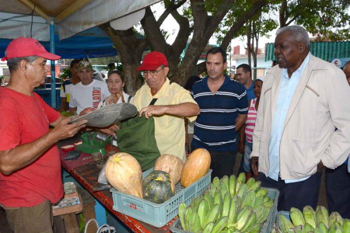 Lazo Hernández apreció en Bayamo la conversión de mercados agropecuarios en centros comerciales multiservicios