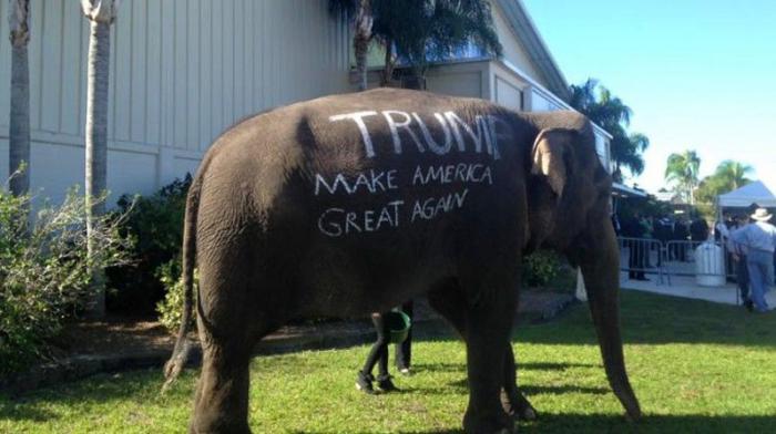 trump y el elefante