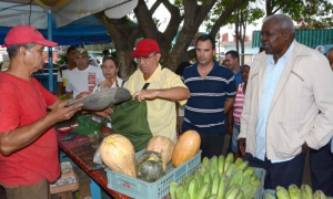 Lazo en Granma 