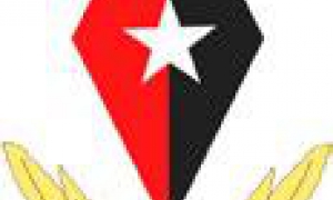 Fidel logo