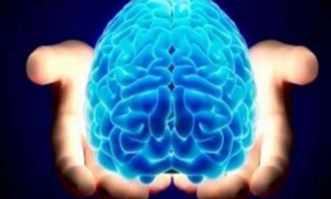 cerebro