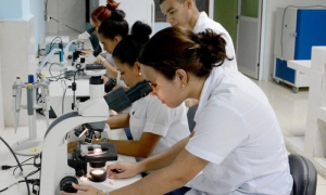 Fragua en el modelo académico de la medicina