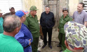 La solidaridad también hace milagros