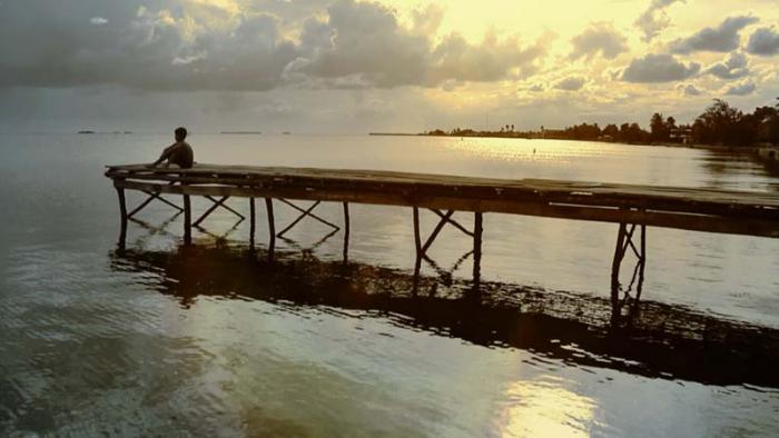 La hoja de la caleta