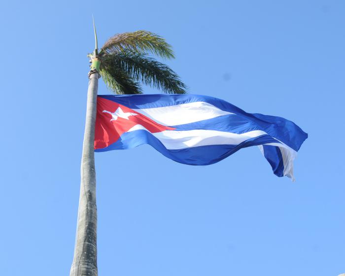 Bandera cubana junto a la Palma Real