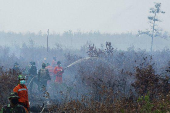 INDONESIA DECLARA ESTADO DE EMERGENCIA POR INCENDIOS FORESTALES