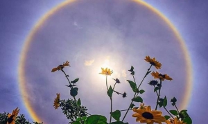 halo solar ocurrido en Brasil