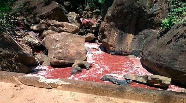 La minera Samarco ocasionó el derramamiento de 44 millones de metros cúbicos de residuos tóxicos hace dos años en otra localidad de Minas Gerais.