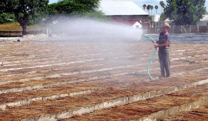 Las nuevas inversiones ayudarán a utilizar el agua de modo más racional.