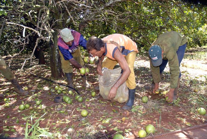 El papel de los trabajadores en el diseño de los planes de producción y su cumplimiento es uno de los puntos medulares en los debates del XXI Congreso de la CTC. 