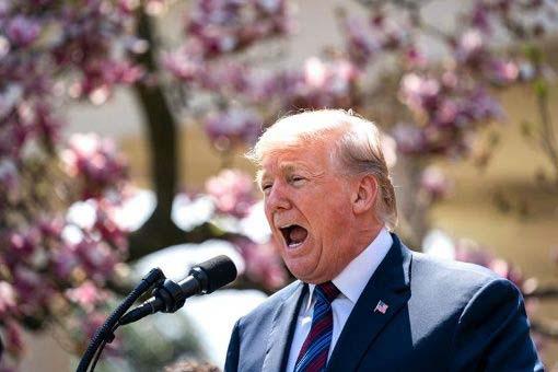 Trump ordenó trasladar sus fuerzas armadas hasta Siria
