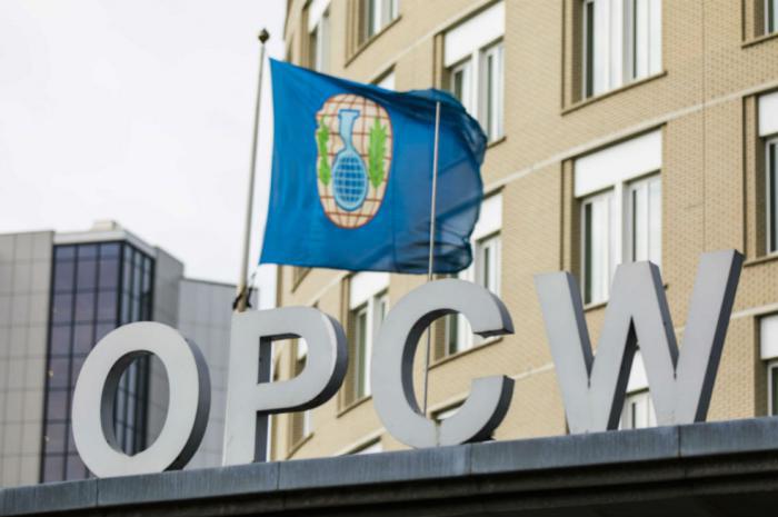 Organización para la Prohibición de las Armas Químicas (OPAQ) 