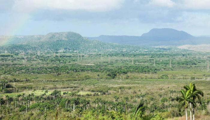 El Valle del Yumurí es un hermoso paisaje natural, la primera visión de la ciudad de Matanzas de quienes arriban a la urbe por la zona norte.  