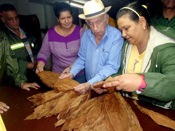 Machado Ventura reconoció en Pinar del Río las medidas para la protección del tabaco.
