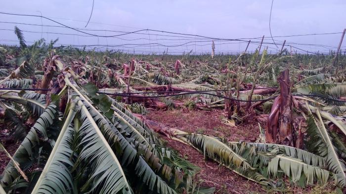 La Cuba vuelve a ser golpeada; primero, el huracán Irma y ahora la tormenta subtropical Alberto.