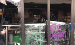 Disturbios en Francia