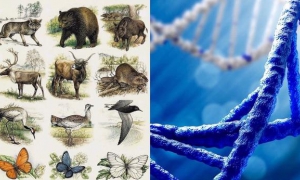 Científicos plantean estudiar ADN de todos los seres vivos