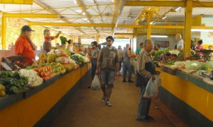 Mercados Agropecuarios